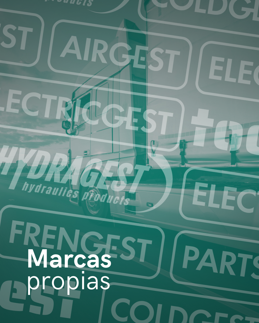 Marcas propias Aliauto