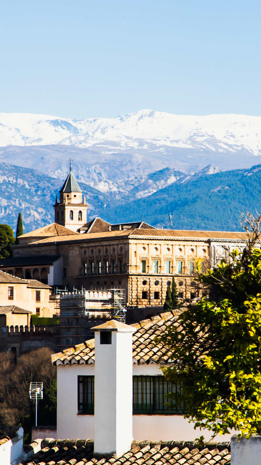Delegación Aliauto Granada