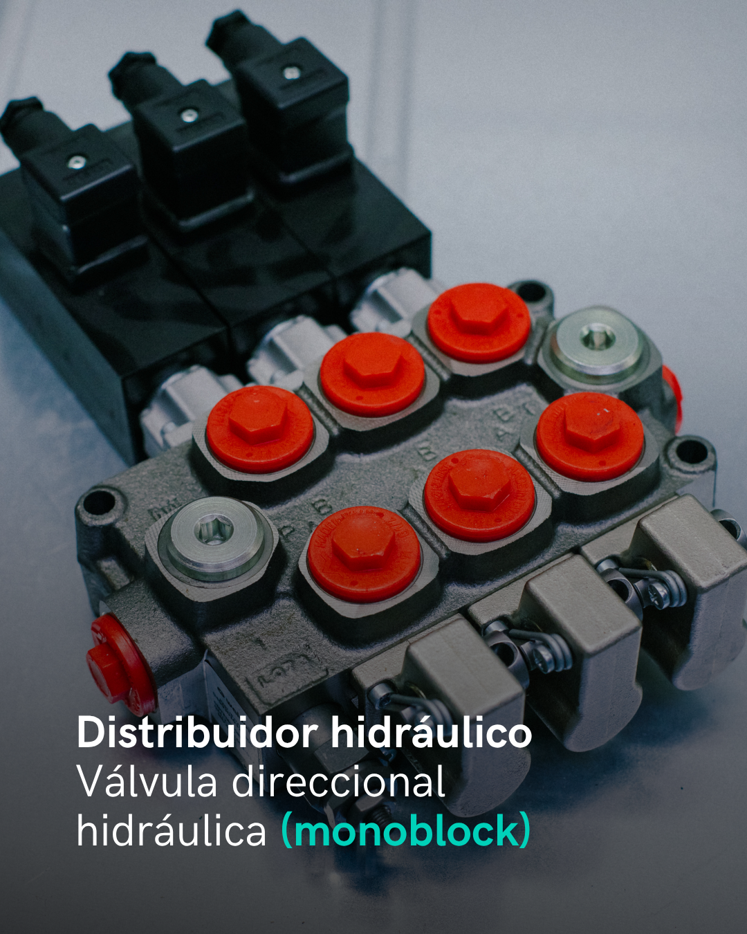 Producto Aliauto 6