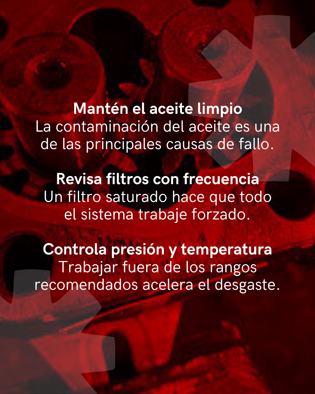 Mantenimiento de bomba hidráulica Aliauto 3
