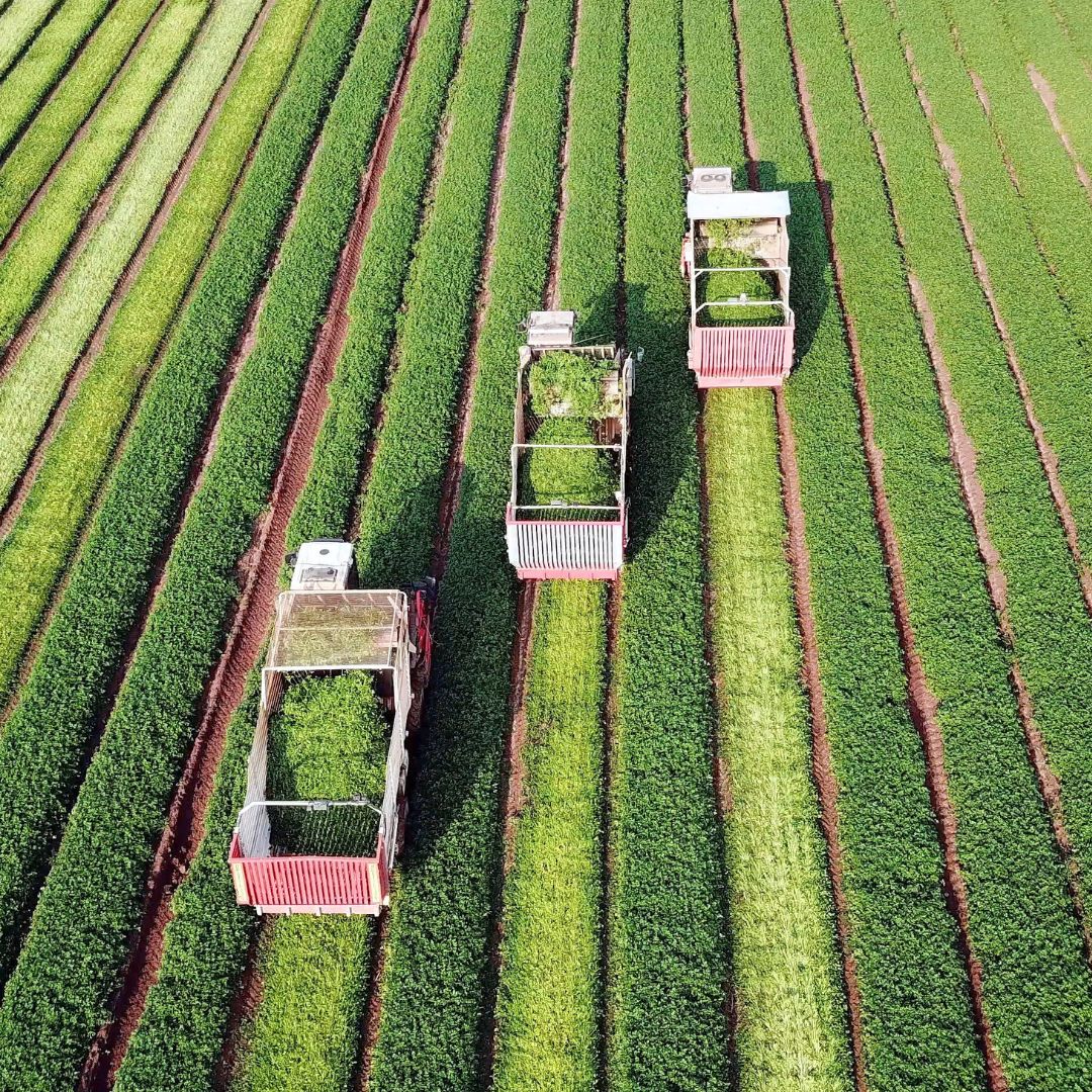 Maquinaria agrícola y asistencia técnica de ALIAUTO